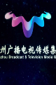 扬州广播电视传媒集团