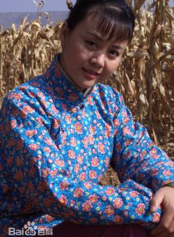 Фань Чунься Фань Чунься
