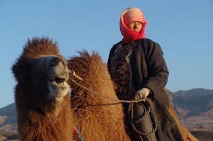 Юй Нань Юй Нань