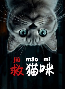 Спасительный котик Спасительный котик