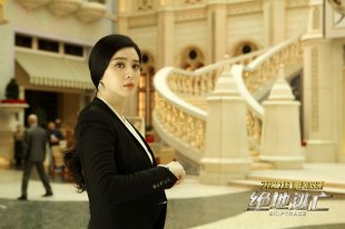 Фань Бинбин