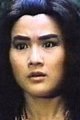 林小楼, 林文婷