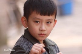 Чэнь Хунцзинь (1)